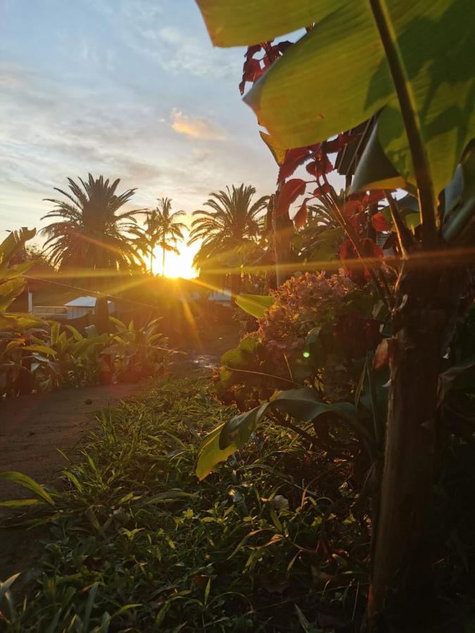 Hostal Tu'U Koihu Ханга-Роа Экстерьер фото