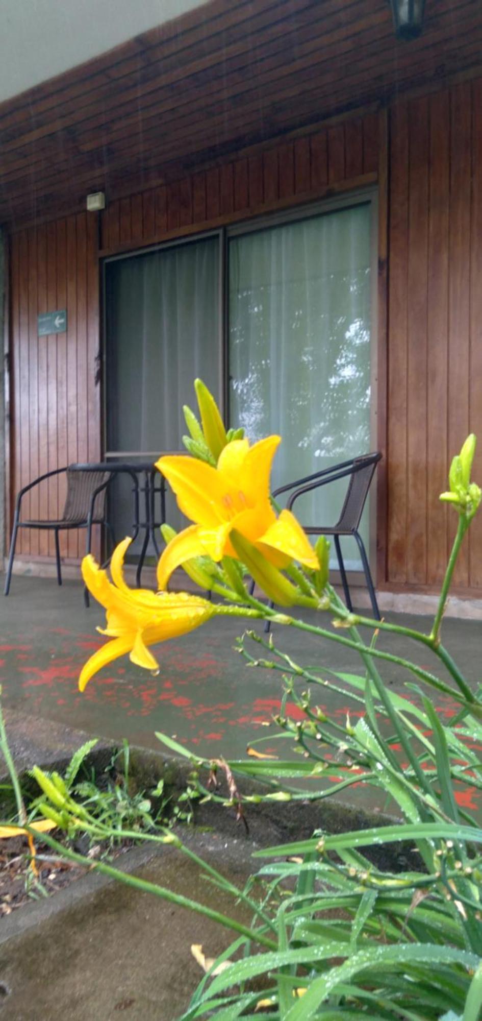 Hostal Tu'U Koihu Ханга-Роа Экстерьер фото