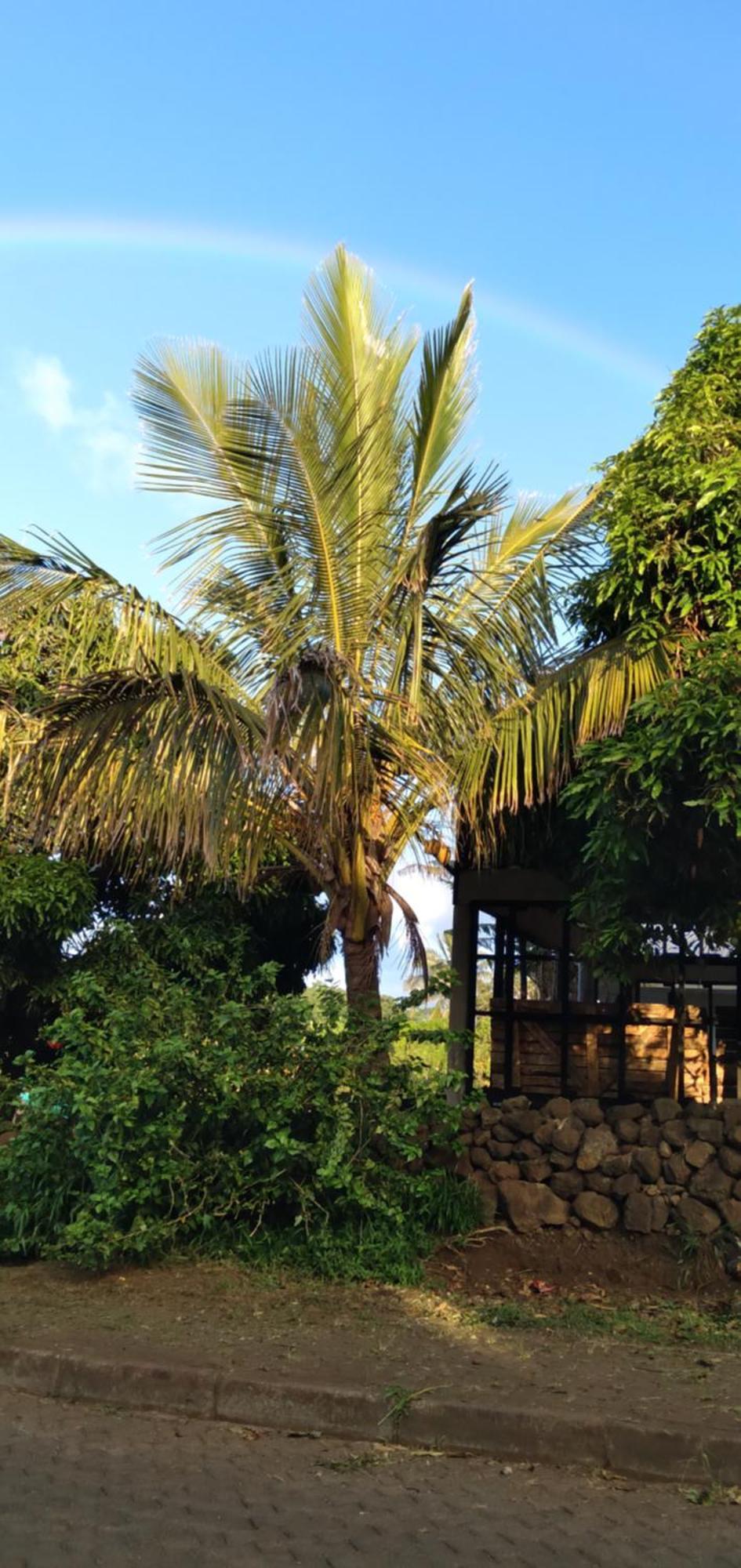 Hostal Tu'U Koihu Ханга-Роа Экстерьер фото