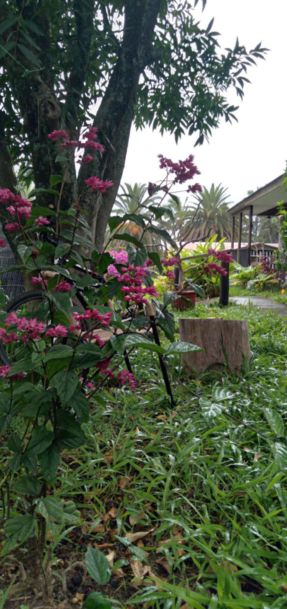 Hostal Tu'U Koihu Ханга-Роа Экстерьер фото