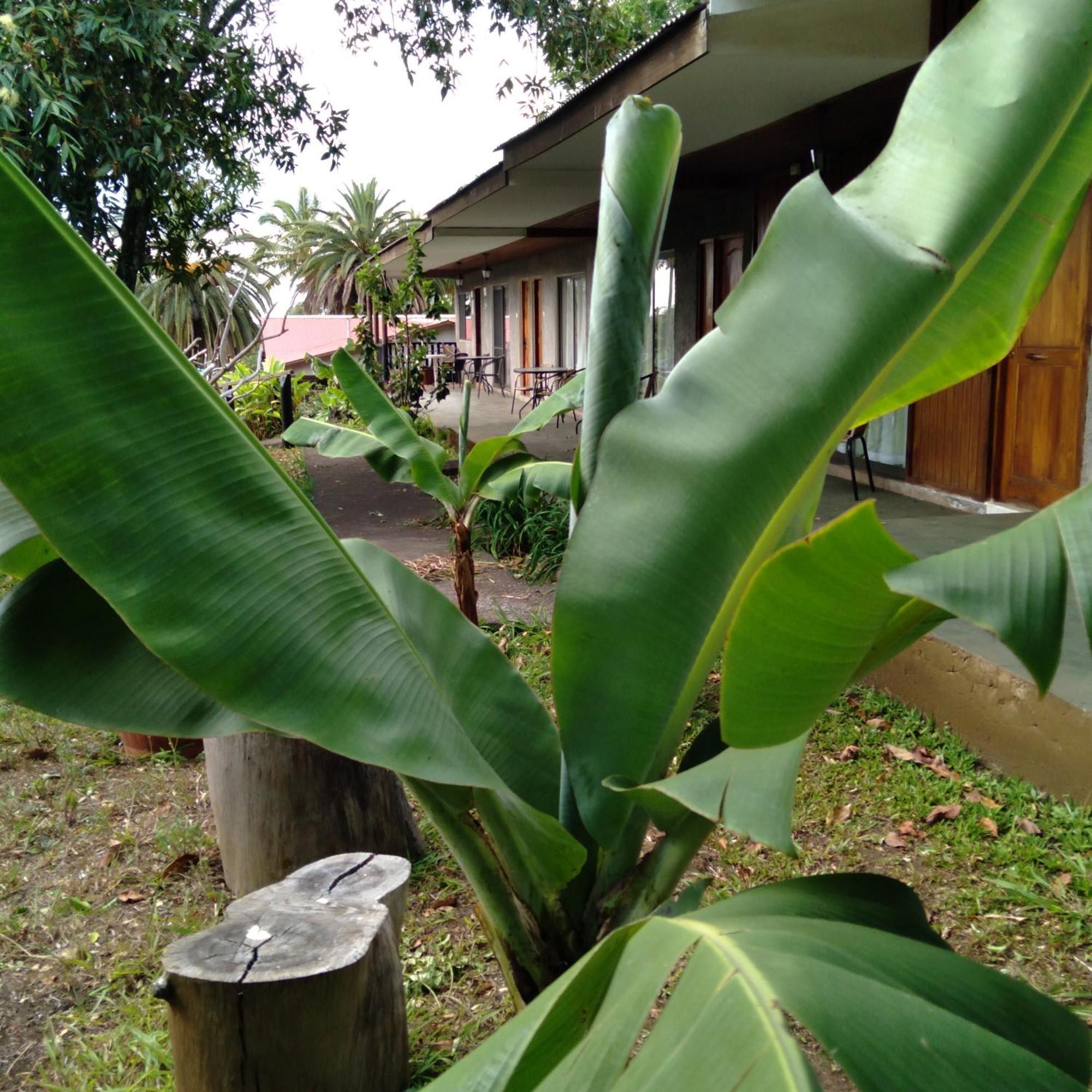 Hostal Tu'U Koihu Ханга-Роа Экстерьер фото