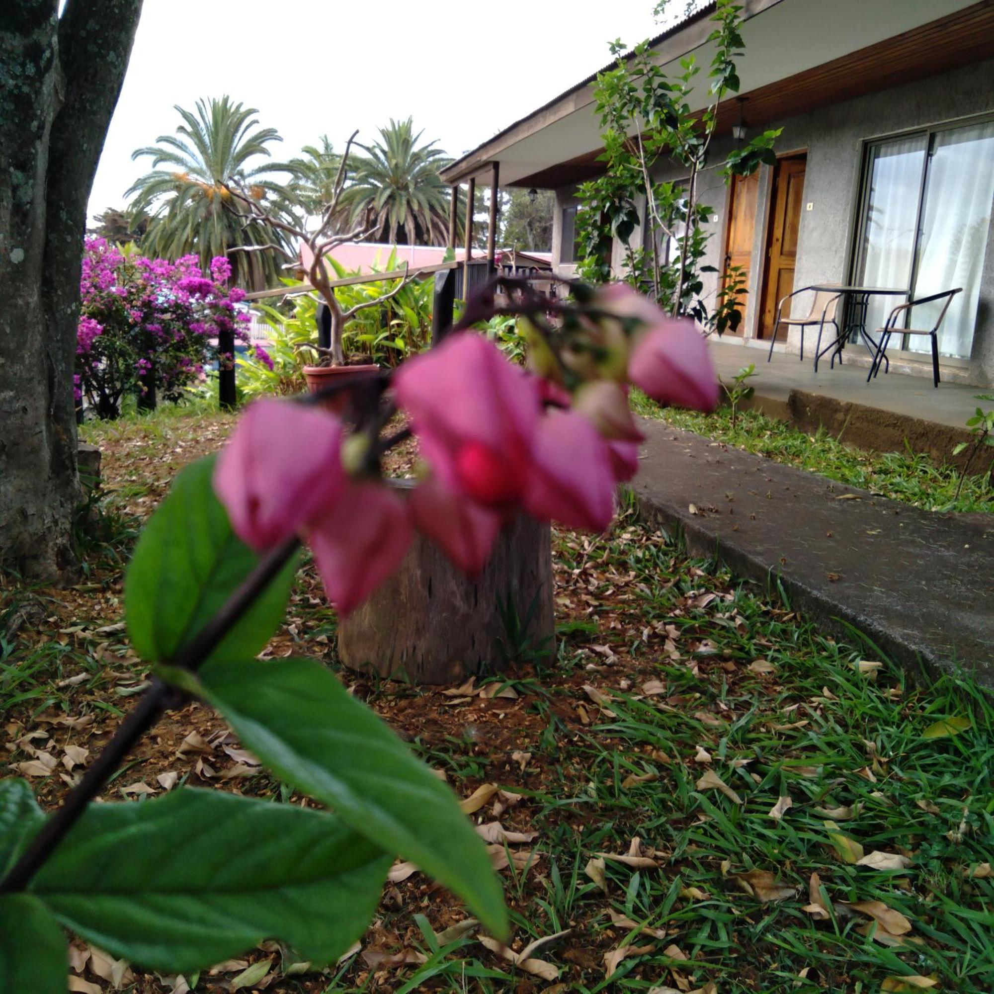 Hostal Tu'U Koihu Ханга-Роа Экстерьер фото